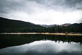 The lake in the woods is beautiful