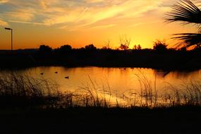 Sunset Arizona