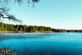 Trees Lake Water