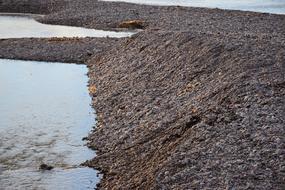 cozy beach with stones
