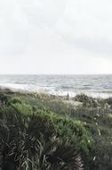 Sea Ocean Water