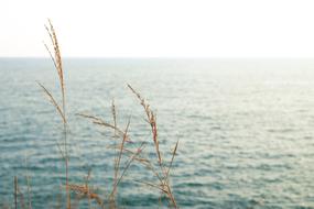 Sea Ocean Blue