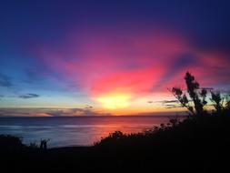 pink beautiful sunset
