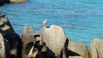 rocky beach landscape