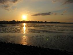 Backlighting Watts Low Tide North