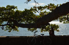 Girl Bike Mar