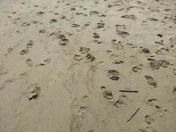 Beach Foot Walk