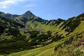 a landscape of green mountains with plants