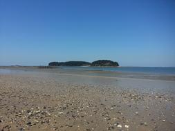 tropical sandy beach