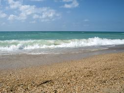 Sea Summer