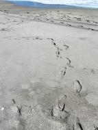 Ocean Florida Sand