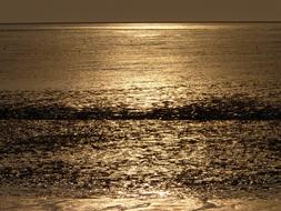 North Sea Wadden Evening Sun