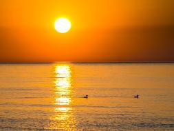 orange sun at the top of the sea