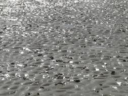 shimmering sea surface