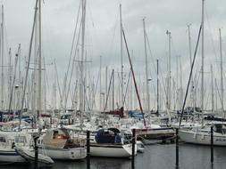 Baltic Sea Sailing Ships