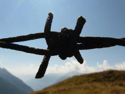 thorn Wire