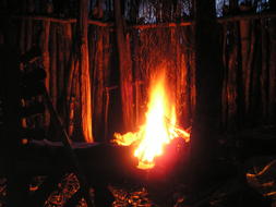 large bonfire at the edge of the forest