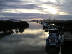 perfect Pier Boats