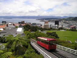 New Zealand Wellington train