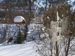snow Winter Aviary