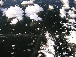 Frozen Lake in the snow close up