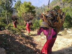 women carry baskets of firewood in Nepal