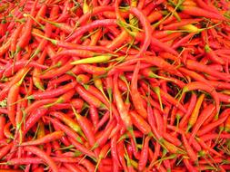 Chilli Pepper red Spices