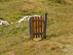 wooden Gate in wire Fence