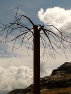 metal sculpture of Tree and clouds