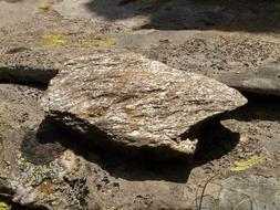 Mica Rock