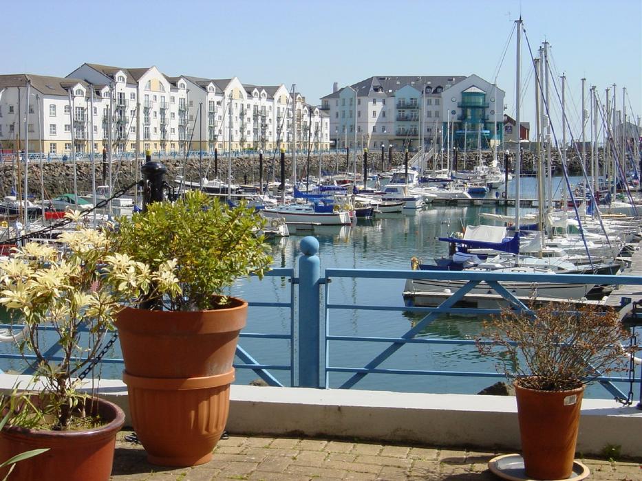 beautiful potted plants by the sea