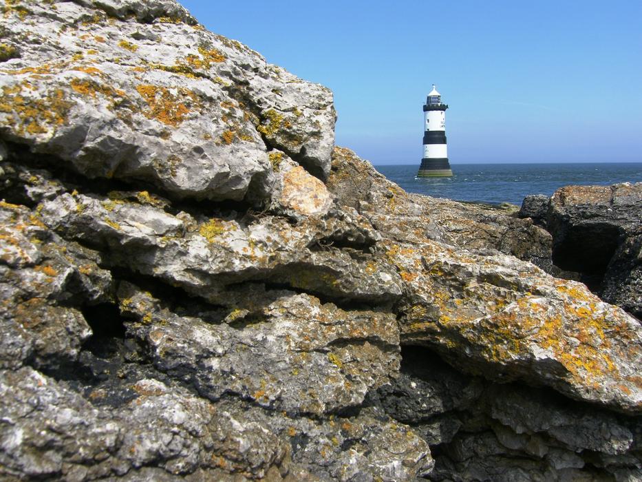 a large rock with seaweed on the beach