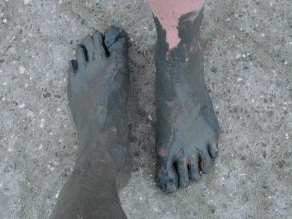 Mudflat Hiking Watts Wadden Sea