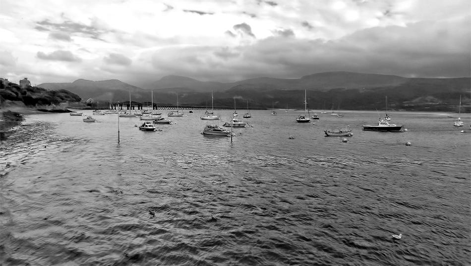 sailboats by the sea