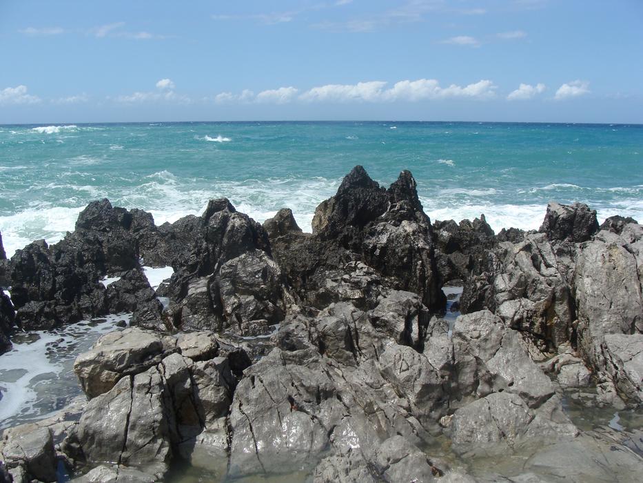 Part Nature Sea