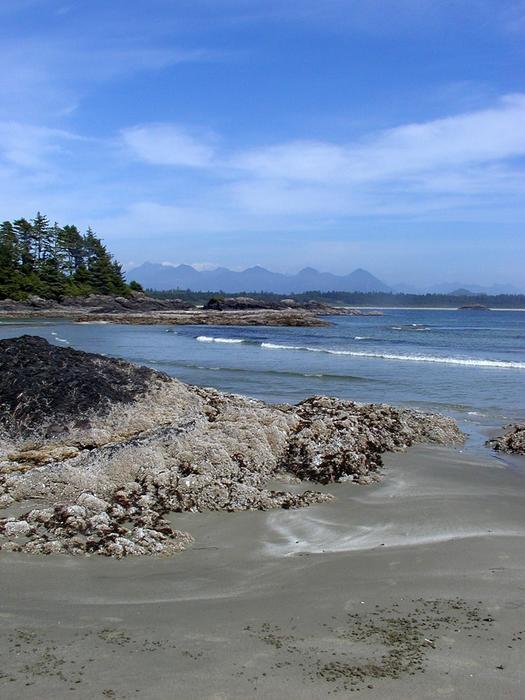 Volcanic rocks on the ocean