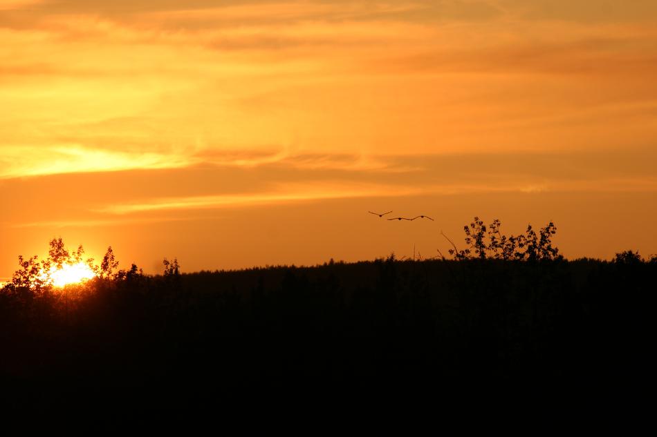 Sunset Alaska Fairbanks