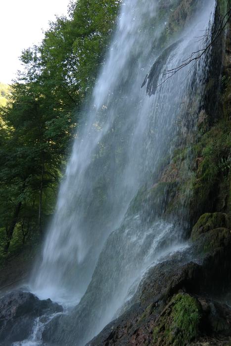 waterfall with trees in the forest