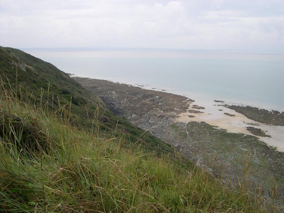 green grass on the rocks