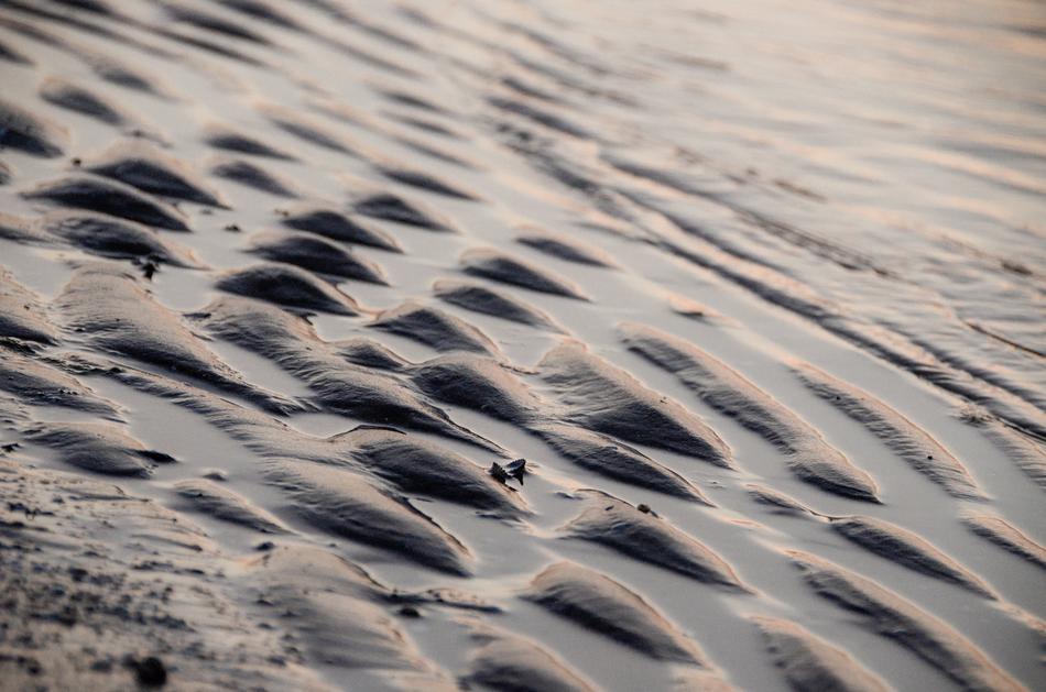 Texture The Background Wave free image download