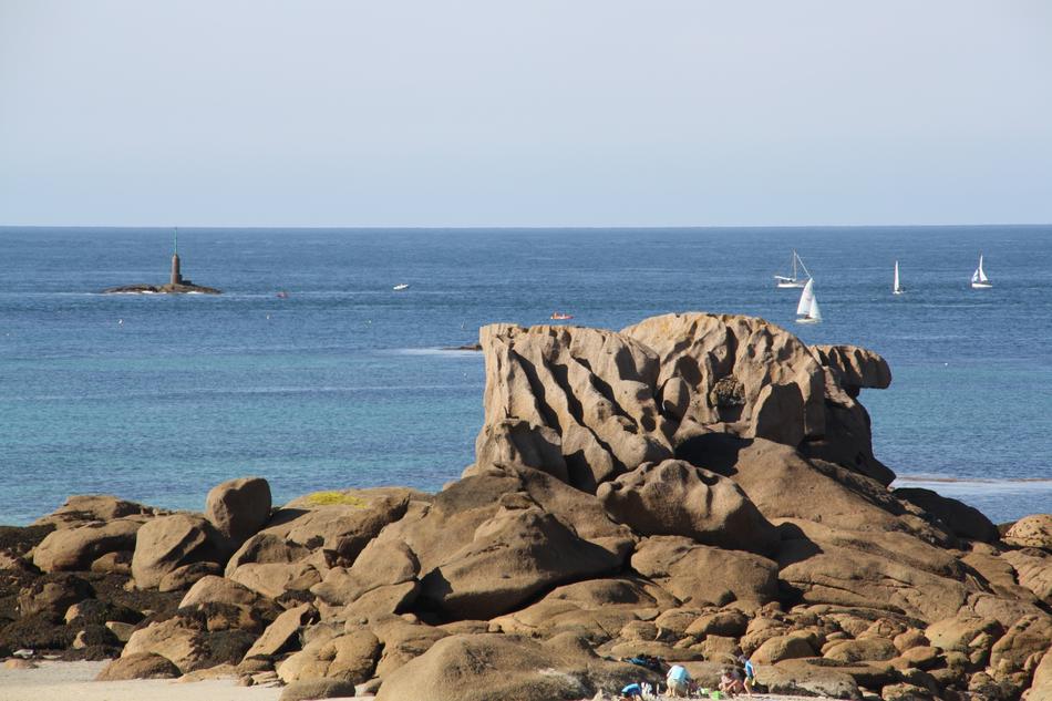 rocky beach with seagulls