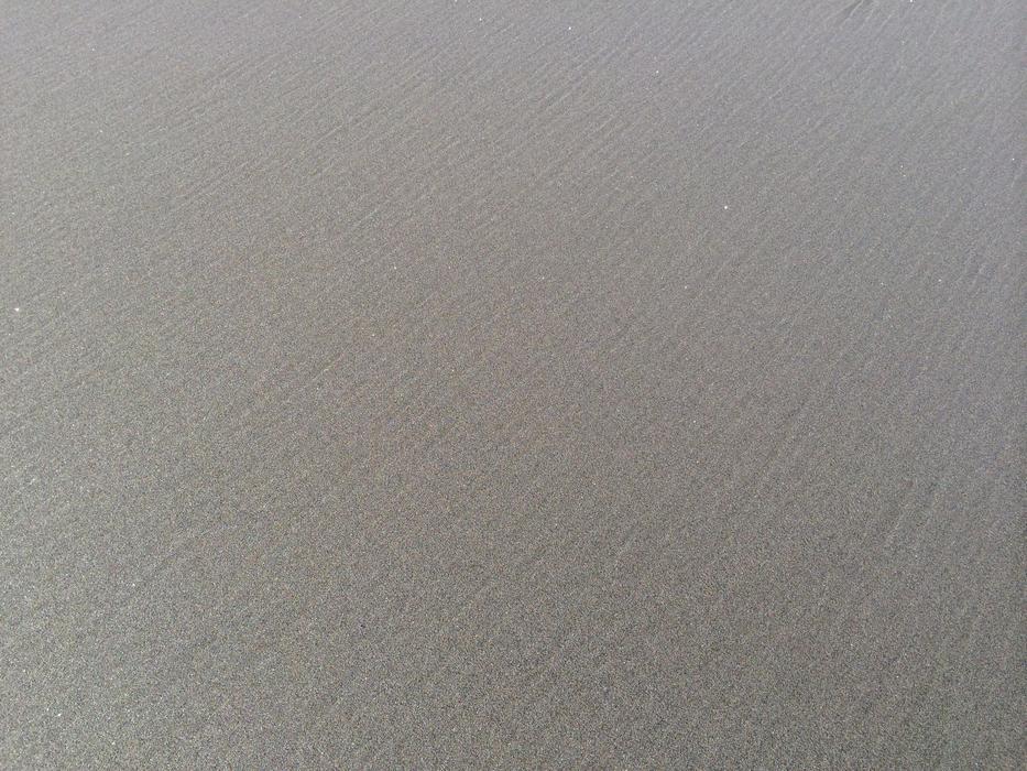 sandy beach by the ocean background