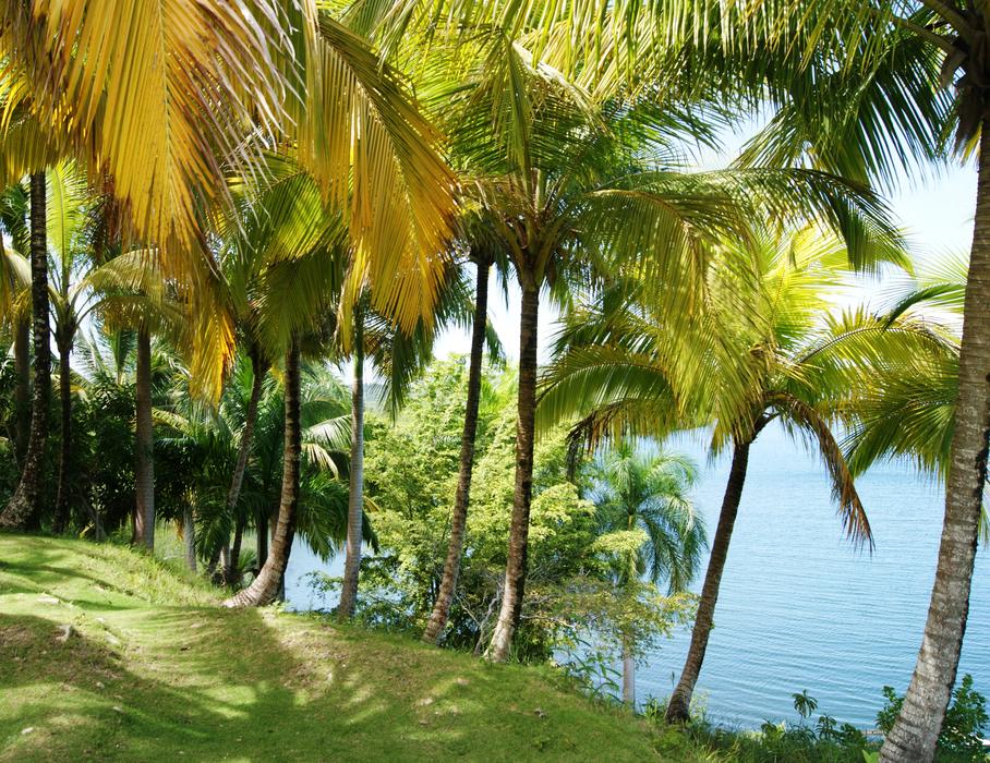 Palm Sea Holidays