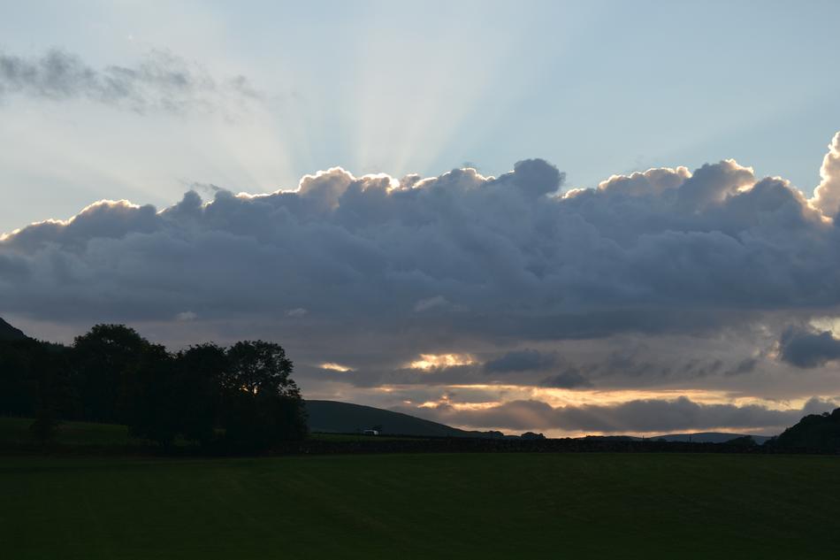 beautiful sunset in the meadow