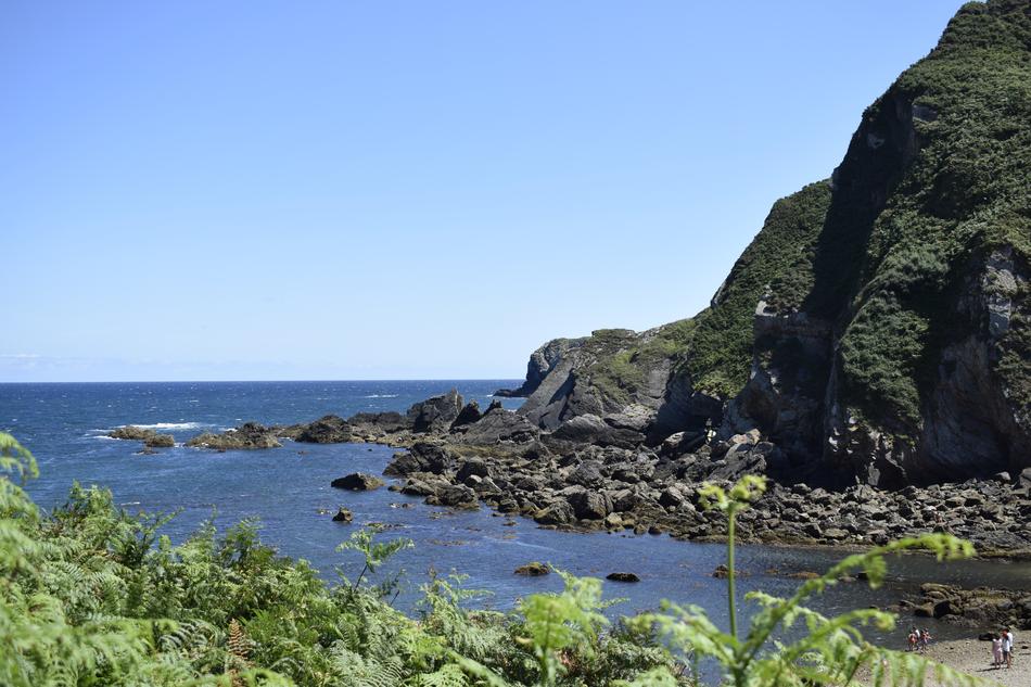 beautiful sea landscape with mountains and plants