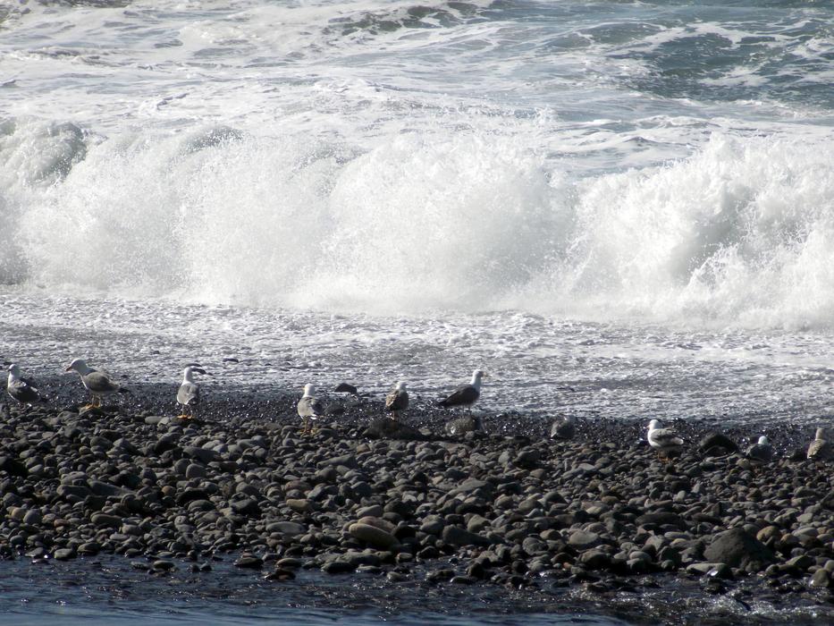 sea wave on stones white
