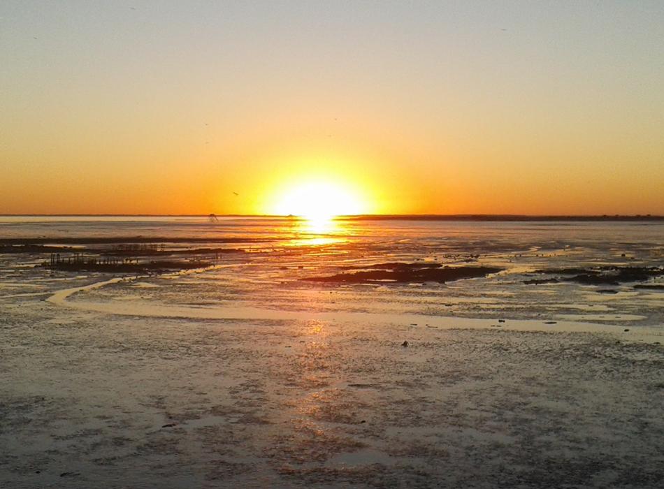 Sun Sunset