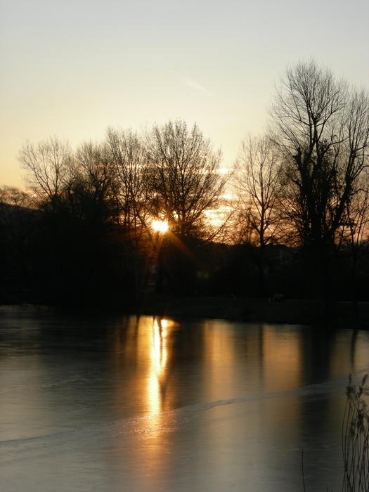 trees landscape lake light