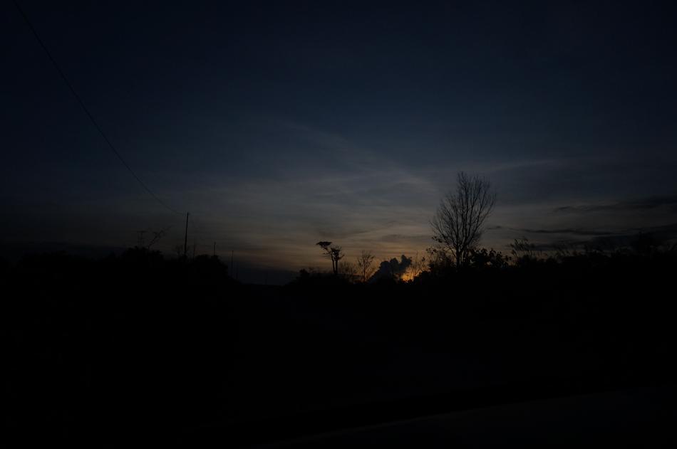 night view with forests
