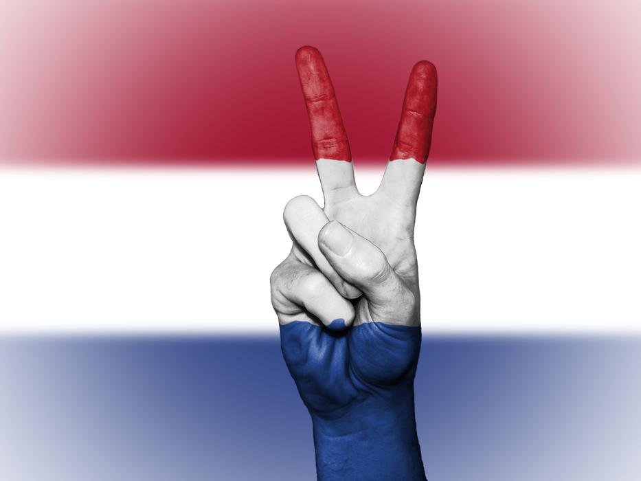 peace sign on the background of the flag
